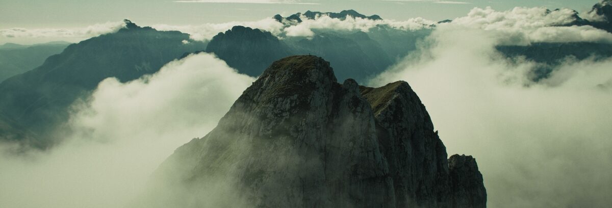 DZIKI – pierwszy polski film fabularny pokazywany w IMAX